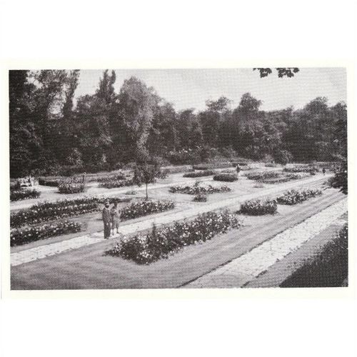 Postcard Rose Garden Hesketh Park SOUTHPORT 1930