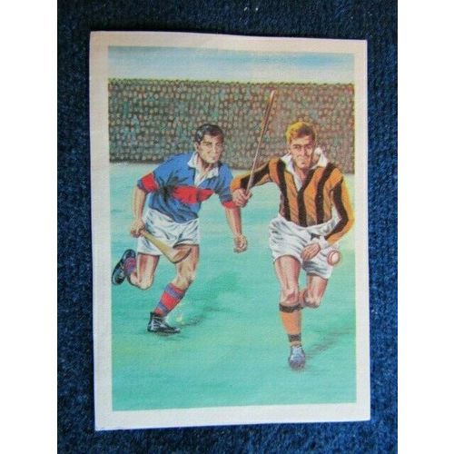 Unusual Sports 1968 ~ Jacques Chocolates Belgium Sports Sticker Variants (e9)