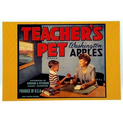 Teacher's Pet Washington Apples Advertisement Postcard Dog (A1)