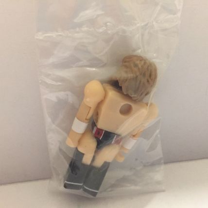 NEW SEALED C3 Official WWE Superstar Daniel Bryan