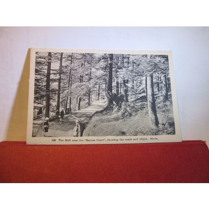THE MALL nr. BARNES COURT, SIMLA, INDIA. unused vintage postcard =