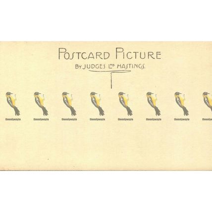 Cave Dale & Castle, Derbyshire, 9252 Judges Postcard