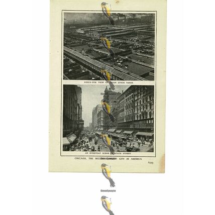 Chicago, Stock Yards & State Street, USA, Book Illustration (Print), 1909
