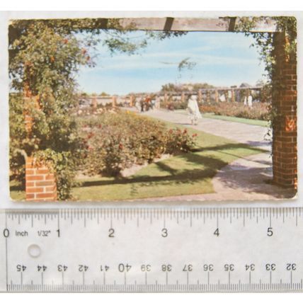 1963 postcard Fort Rose Gardens, Southsea