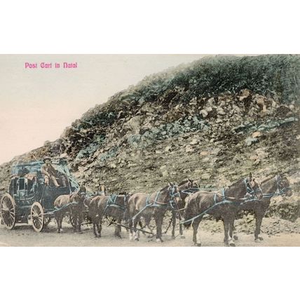 Post Cart Postman In Natal Transport South Africa Old Postcard