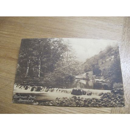 R & R Bull 1925 fr Postcard -Salmon Pool, Dovedale - Derbyshire
