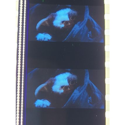 Gremlins. pk DJQ - A 019S. 1 strip of 5 film cells - 35mm
