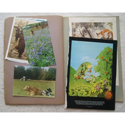 Large scrapbook - cards, tickets, scraps, etc. (see photos)