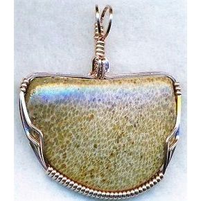 Petrified Palm Wood Copper Wire Wrap Gemstone Pendant 28