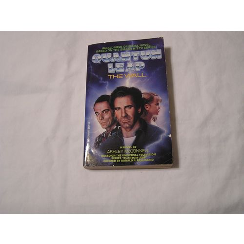 Ashley McConnell Quantum Leap paperback-THE WALL