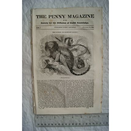 1835 The Penny Magazine No. 238 Mechanics Institute, Lago, Arabs, monkey, etc.
