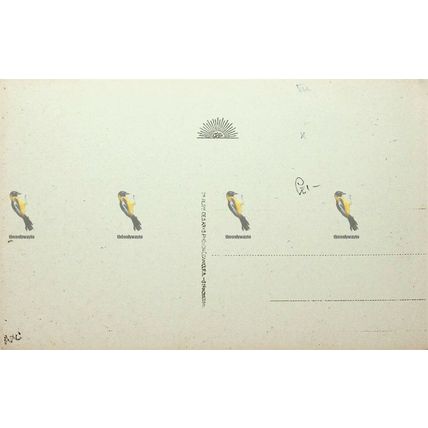 St Sauveur, Le Pont Napoleon, France, 9 Postcard