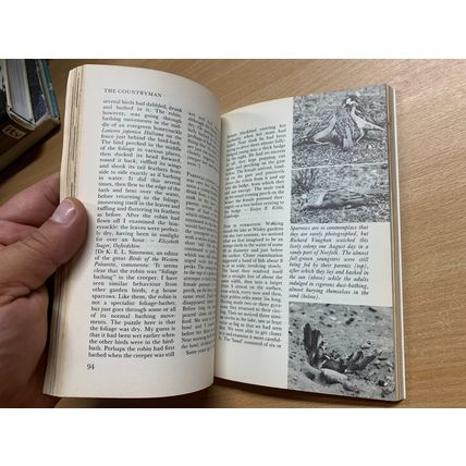 SUMMER 1985 "THE COUNTRYMAN" VOL 90 #2 ILLUSTRATED VINTAGE PAPERBACK BOOK (P2)