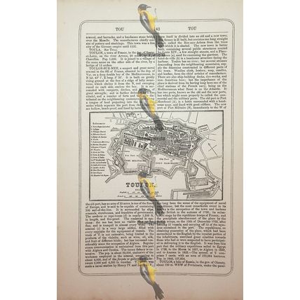 Toulon, France, Map, Book Illustration (Print), 1856