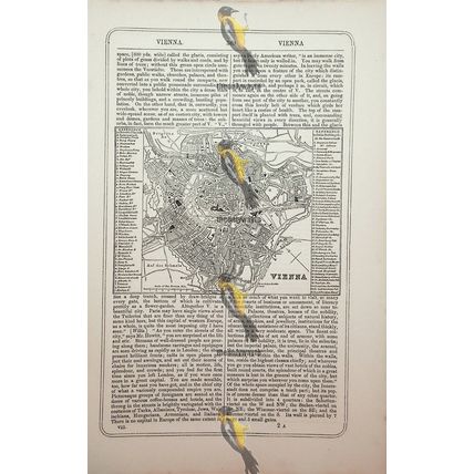 Vienna, Austria, Map, Book Illustration (Print), 1856