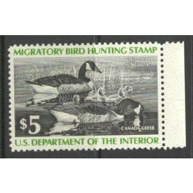 RW43 $5 Family of Canada Geese Very Fine MNH B0267