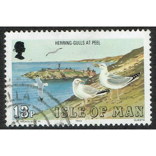 Isle of Man 1983 Sea Birds 13p Multicoloured SG239 FU