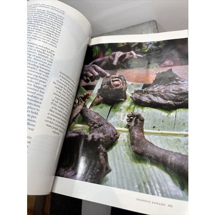 National Geographic Magazine October 2007 Growing Fuel Collectable