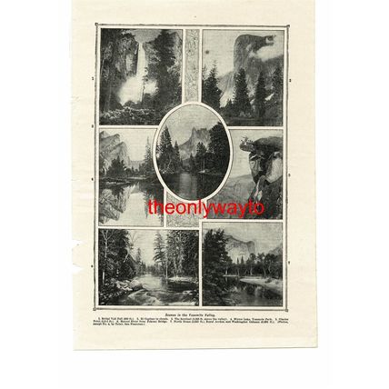 Yosemite Valley, California, USA, 7 Views, Book Illustration (Print), c1907