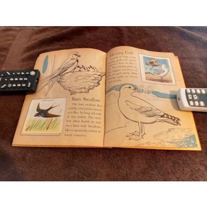 Little Golden Book Bird Stamps By Kathleen Daly B Edition VG/FN Shape 1949