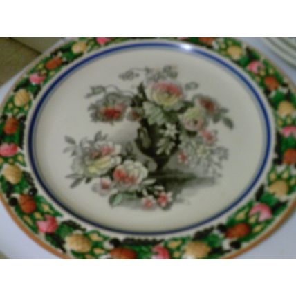 Royal Adams Titanware 70566 embossed design plate scarce