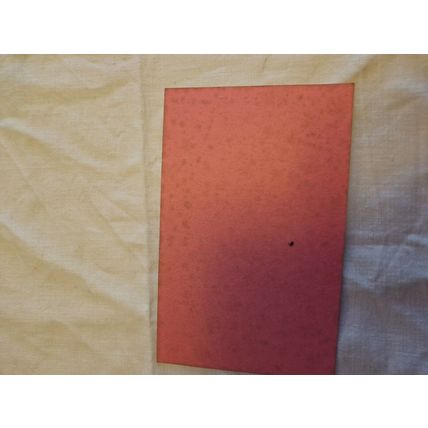 VERY RARE VINTAGE BLOTTING PAPER FEATURING RUSTOM PASHA