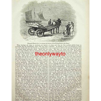 Yarmouth Beach Cart, Carrying Fish, Norfolk, Book Illustration (Print), 1837