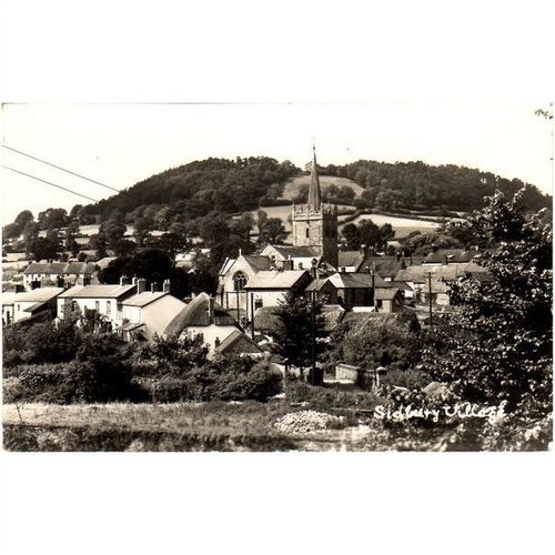 Devon - SIDBURY Village - RP - c.1955/60?