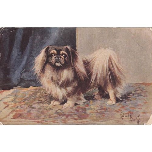 Artist Drawn Pekingese Dog Postcard (AN028)