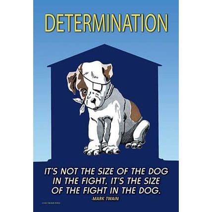 Determination: It's not the size of the dog in the fight; it's the size of fight