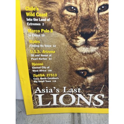 National Geographic Magazine June 2001 Asia's Last Lions - Vintage Collectable