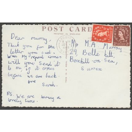 Wild Ponies near Lyndhurst, Hampshire, 1959 - RP Postcard