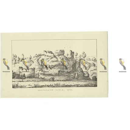 Castleacre Castle, 1735, Book Illustration (Print), c1873