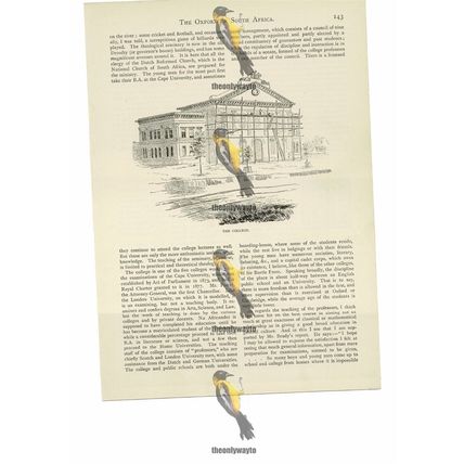Stellenbosch College, Oxford Of South Africa, Book Illustration (Print), 1886