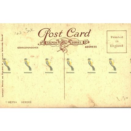 Denton Gardens, Worthing, Sussex, 5000 Salmon Sepio Series Postcard, 1920s