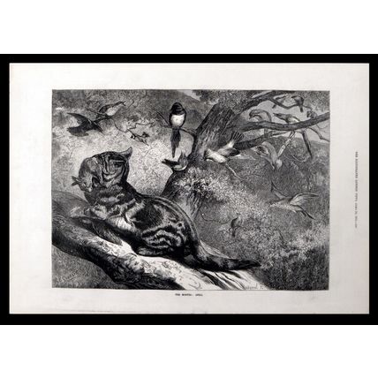 MONTHS: APRIL 1871 Cat - Rabbit - Birds - George Bouverie Goddard ENGRAVING