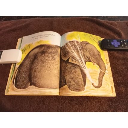 Little Golden Book The Lion's Paw B Edition By Jane Werner Watson VG/FN 5.0 1971