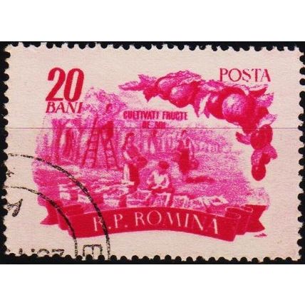 Romania. 1955 20b S.G.2400 Used