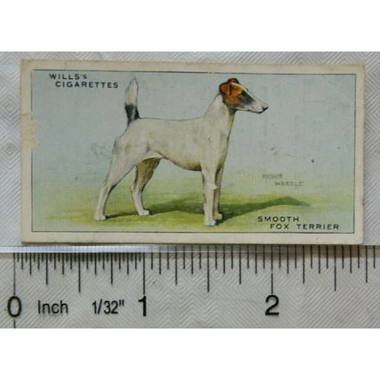 1937 Wills Dogs No. 42 Smooth Fox Terrier