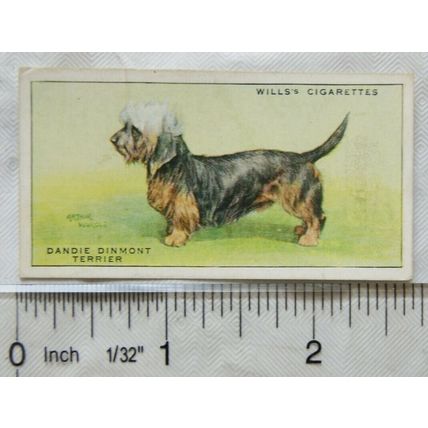 1937 Wills Dogs No. 41 Dandie Dinmont Terrier