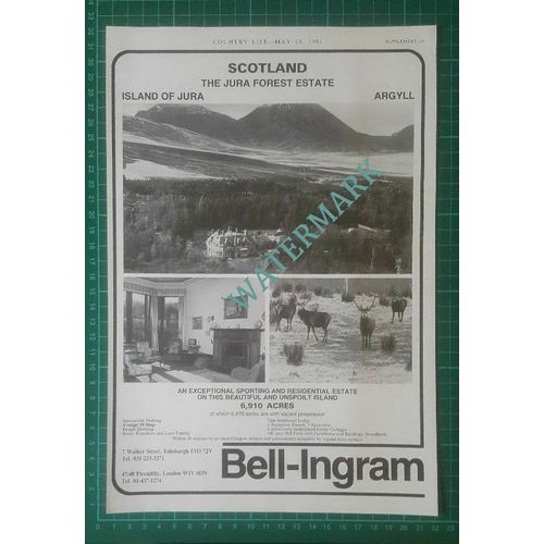X703) The Jura Forest Estate Island Of Jura Sale Advert - 1981 Clip
