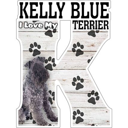 I Love My Kelly Blue Terrier Fridge Magnet