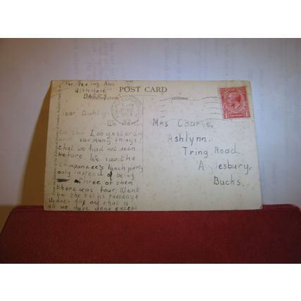 YOUNG CHIMPANZEES AT TEA used postcard by LONDON ZOO photo by F W Bond 1933 pm =