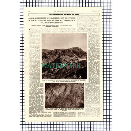 The Great Bull Of Romito Italy - 1961 Article