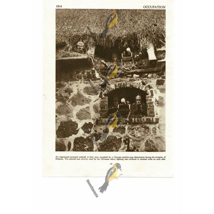 Ambush By German Machine Gunners, Belgium, 1914, Book Illustration (Print), 1935