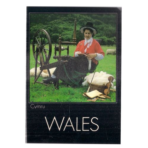 WELSH SPINNER IN NATIONAL COSTUME. WALES unused postcard spinning wheel =