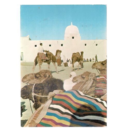 CAMEL MARKET, TUNISIA vintage used postcard. Camels 1970s postmark #