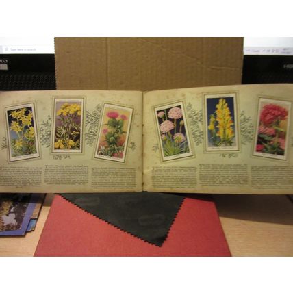 WILD FLOWERS album of cigarette cards by W.D. & H.O. Wills 1936 #