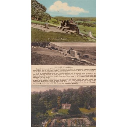 The History Of Boxhill Chalet Lookout 3x Surrey Postcard s