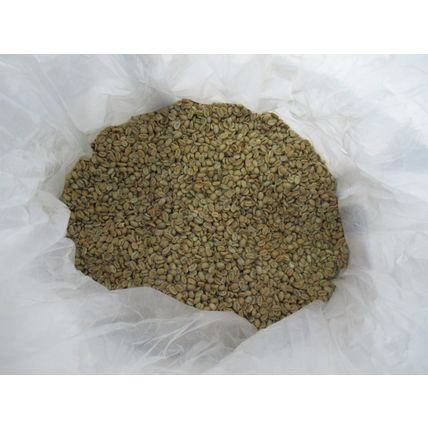 5 LB Green Unroasted Coffee Beans Guatemala GESHA GEISHA Fancy SHB EP MICROLOT